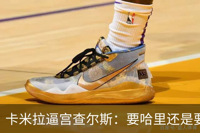 卡米拉"逼宫"查尔斯：要哈里还是要我