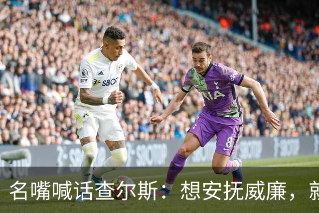 名嘴喊话查尔斯：想安抚威廉，就该剥夺哈里梅根头衔