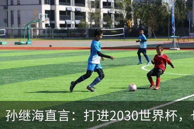 孙继海直言：打进2030世界杯，也不代表国足崛起，归化只是一个点？