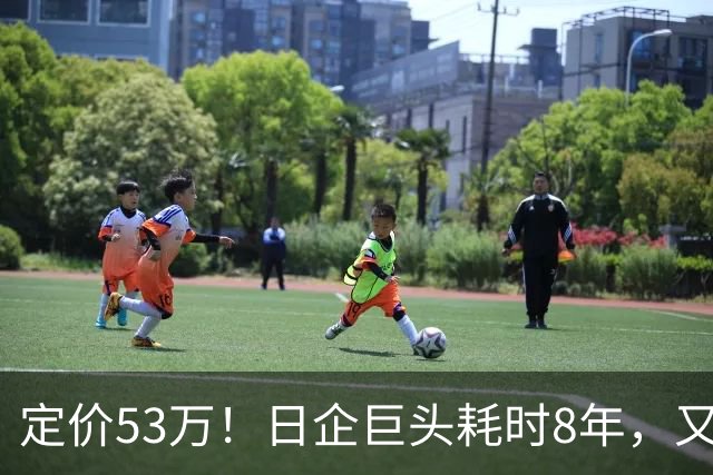 定价53万！日企巨头耗时8年，又一中产男人硬通货被指“割韭菜”