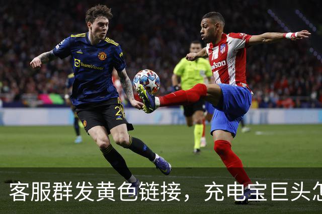 客服群发黄色链接，充电宝巨头怎么了？