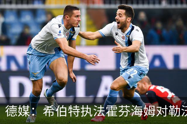 德媒：希伯特执法霍芬海姆对勒沃库森伤退，哈特曼接任