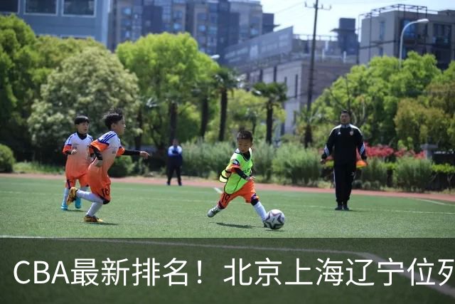 CBA最新排名！北京上海辽宁位列三甲，广东第11山东连败，北控崛起