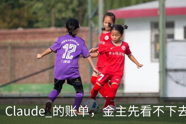 Claude 的账单，金主先看不下去了